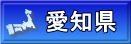 愛知県