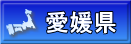 愛媛県